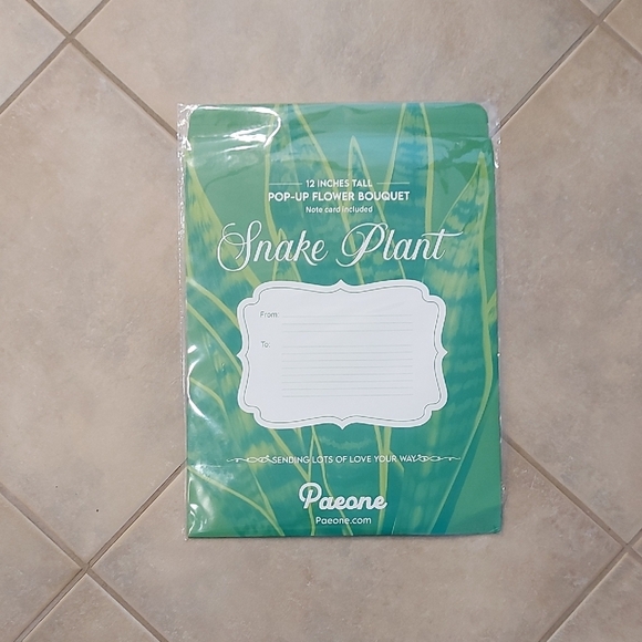 Vibrant Green Snake Plant Pop-Up Card - Picture 7 of 9